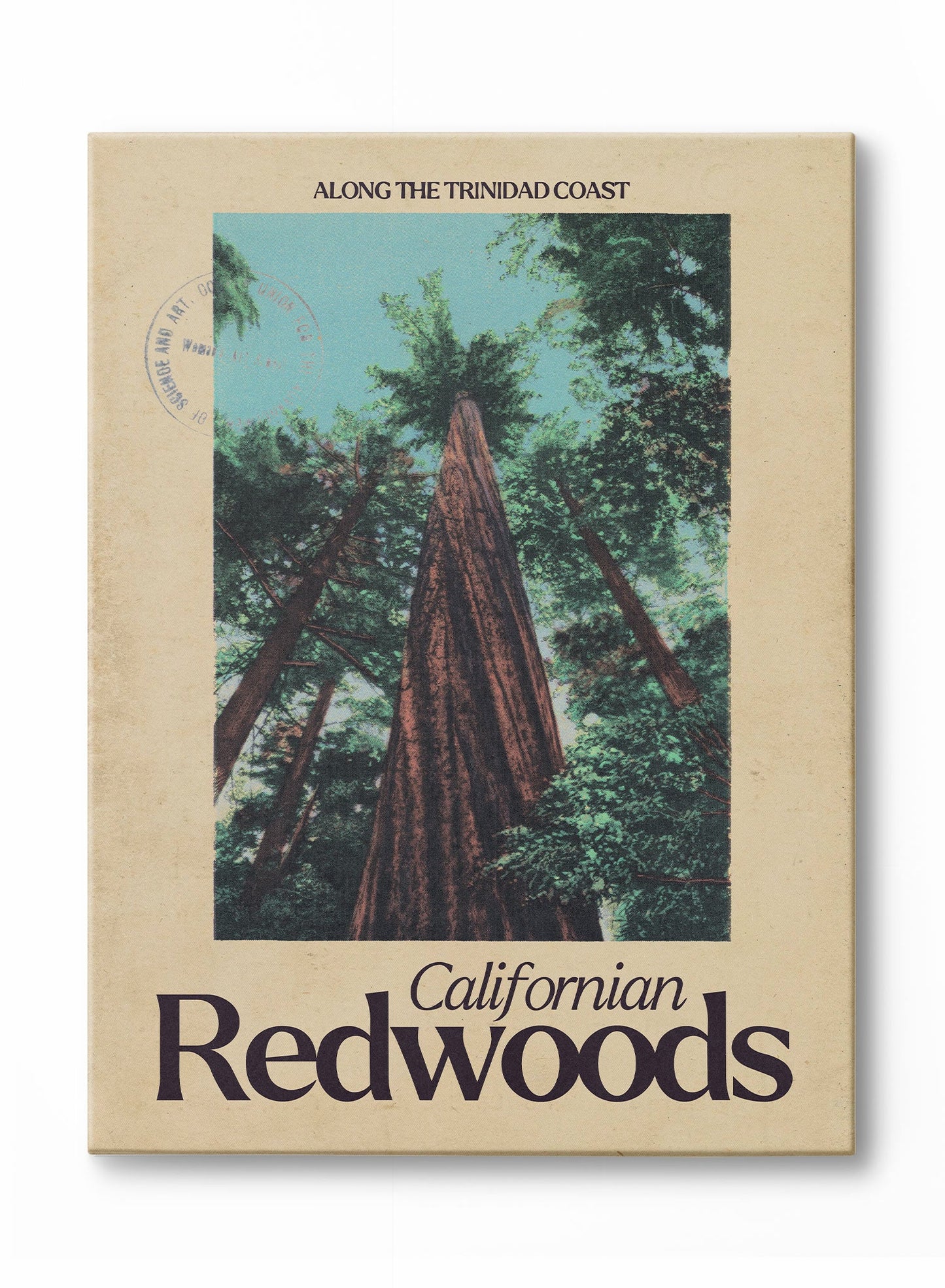 From the Redwood Forest, California, Poster